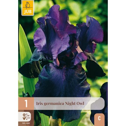 Duhovka GERMANICA NIGHT OWL 1 ks