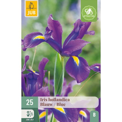 Duhovka HOLLANDICA BLUE 25 ks