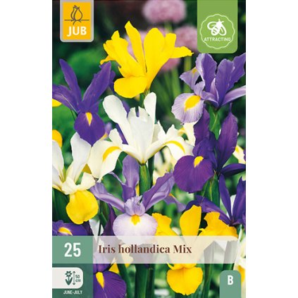 Duhovka HOLLANDICA MIX 25 ks