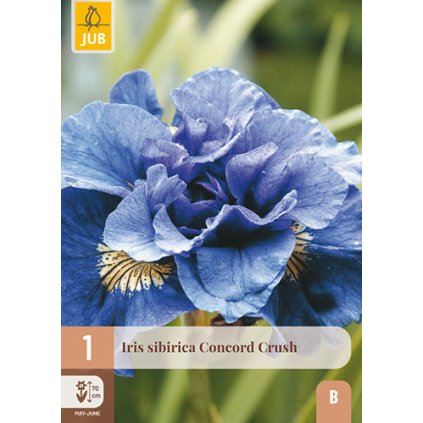 Duhovka SIBIRICA CONCORD CRUSH 1 ks