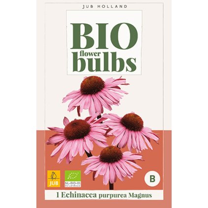 ECHINACEA PURPUREA MAGNUS 1X
