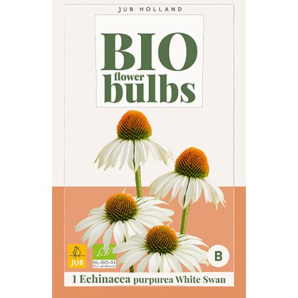 Třapatka PURPUREA WHITE SWAN 1X