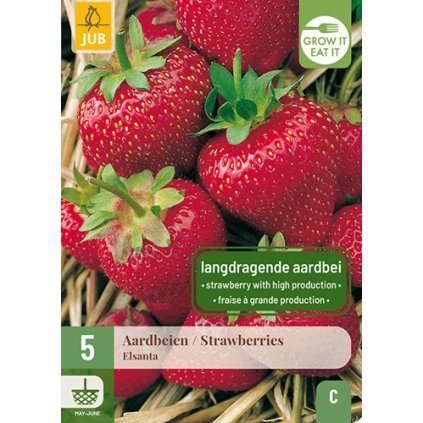 Jahodník / STRAWBERRIES ELSANTA 5X