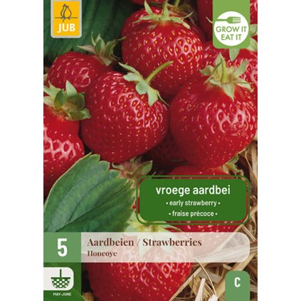 Jahodník / STRAWBERRIES HONEOYE 5X