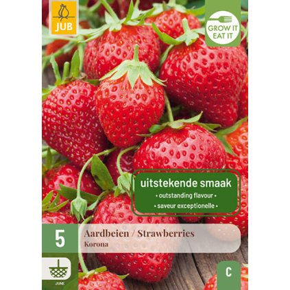 Jahodník / STRAWBERRIES KORONA 5X