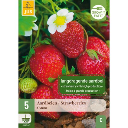Jahodník / STRAWBERRIES OSTARA 5X