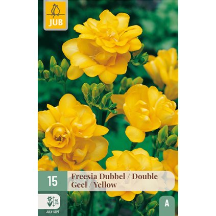 Frézie DOUBLE YELLOW 15 ks