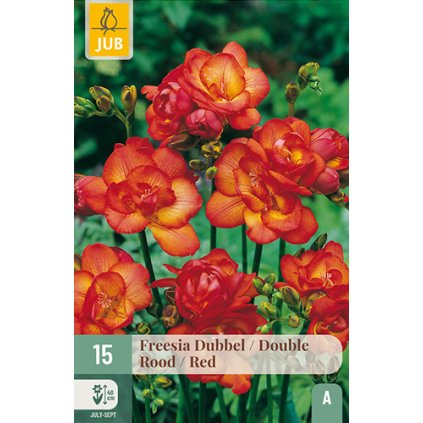 Frézie DOUBLE RED 15 ks