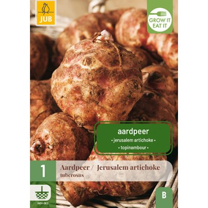 HELIANTHUS TUBEROSUS AARDPEER 1 ks