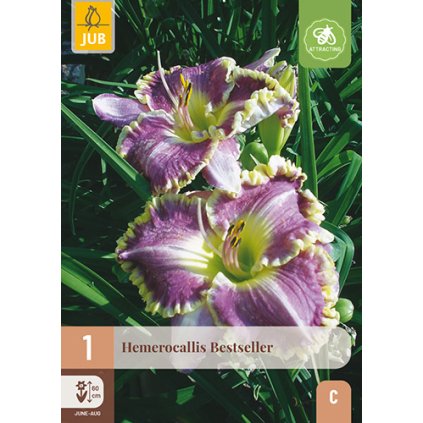 Denivka BESTSELLER 1 ks