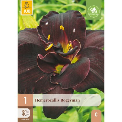 Denivka BOGEYMAN 1 ks