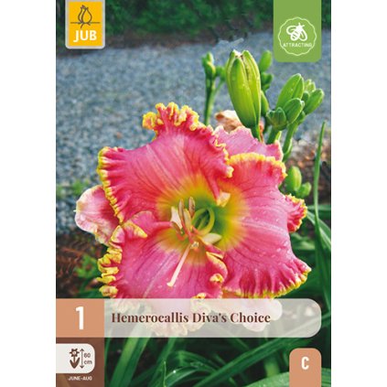 Denivka DIVA'S CHOICE 1 ks