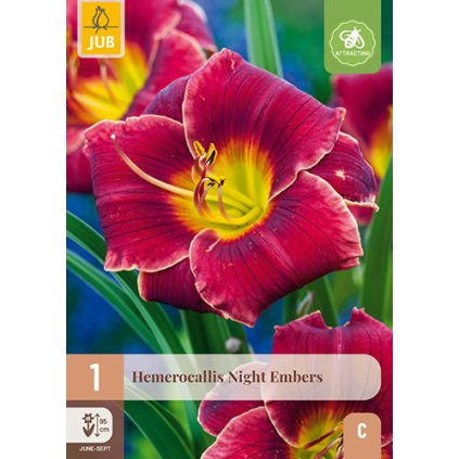 Denivka NIGHT EMBERS 1 ks