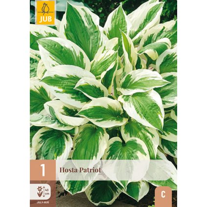HOSTA PATRIOT 1X
