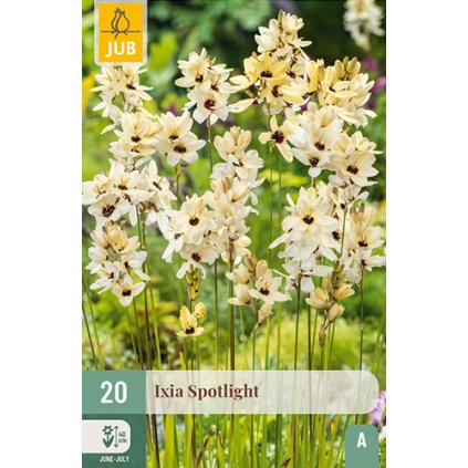 IXIA SPOTLIGHT 20 ks