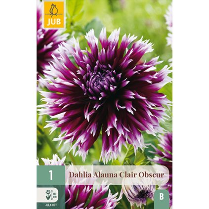 Jiřina ALAUNA CLAIR-OBSCUR 1 ks