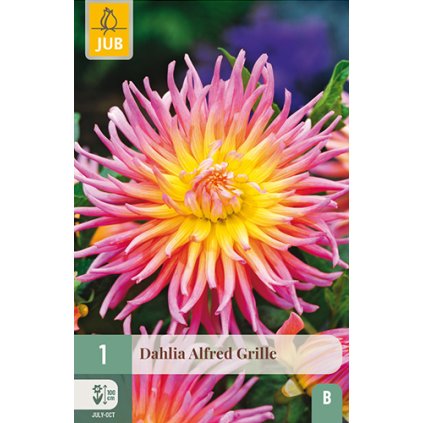 Jiřina ALFRED GRILLE 1 ks