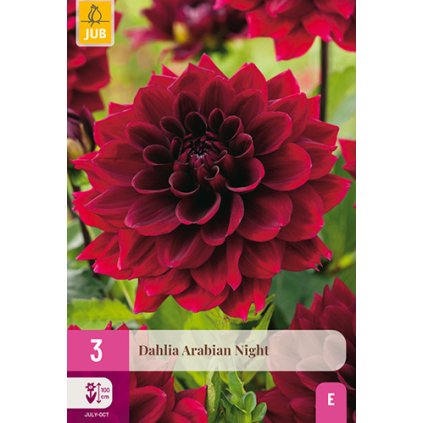 Jiřina ARABIAN NIGHT 3X