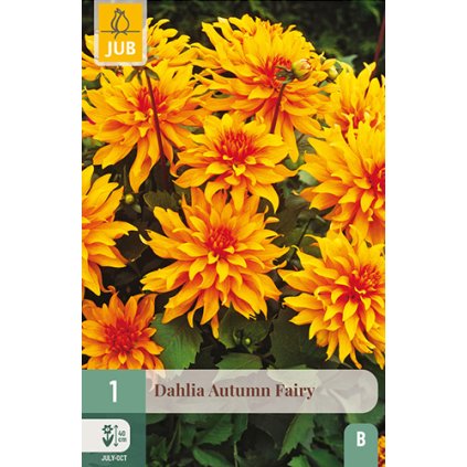 Jiřina AUTUMN FAIRY 1X