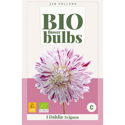 Jiřina AVIGNON 1 ks