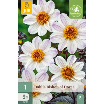 Jiřina BISHOP OF DOVER 1X