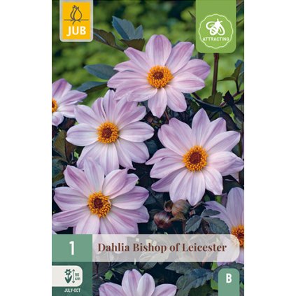 Jiřina BISHOP OF LEICESTER 1X