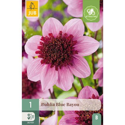 Jiřina BLUE BAYOU 1X