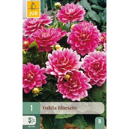 Jiřina BLUESETTE 1X