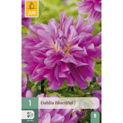 Jiřina BLUETIFUL 1 ks