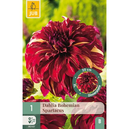 Jiřina BOHEMIAN SPARTACUS 1 ks