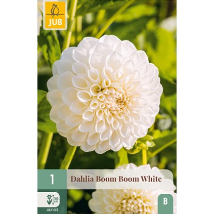 Jiřina BOOM BOOM WHITE 1 ks