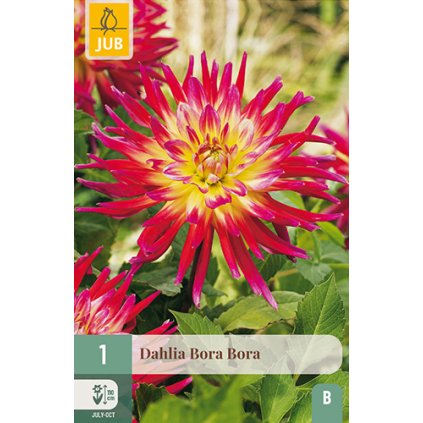 Jiřina BORA BORA 1 ks