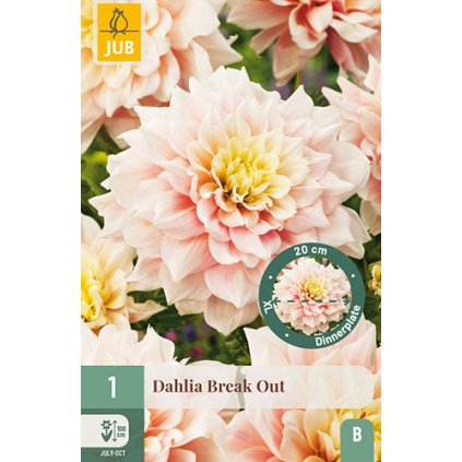 Jiřina BREAK OUT 1 ks