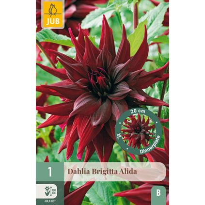 Jiřina BRIGITTA ALIDA 1 ks