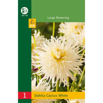 Jiřina CACTUS WHITE 1 ks
