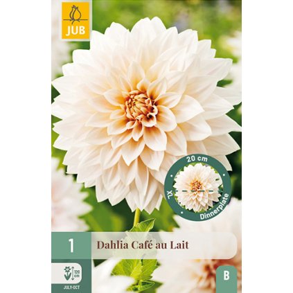 Jiřina CAFÉ AU LAIT 1 ks