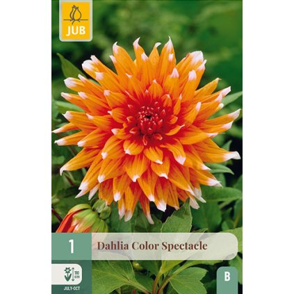 Jiřina COLOR SPECTACLE 1X