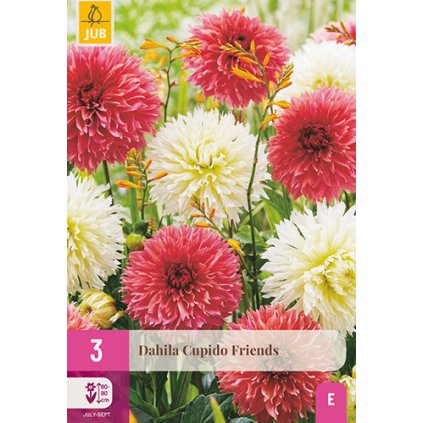 Jiřina CUPIDO FRIENDS 3 ks