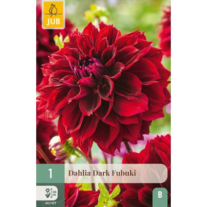 Jiřina DARK FUBUKI 1X