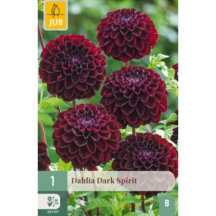 Jiřina DARK SPIRIT 1 ks