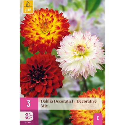 Jiřina DECORATIEF MIX 3 ks