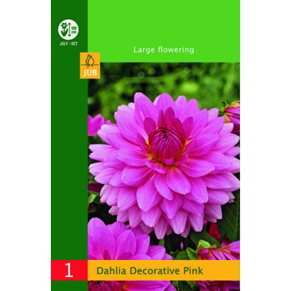 Jiřina DECORATIVE PINK 1 ks