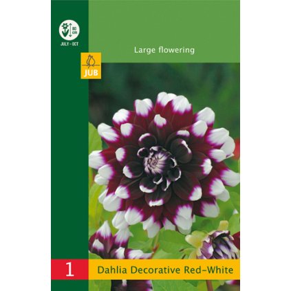 Jiřina DECORATIVE RED - WHITE 1 ks