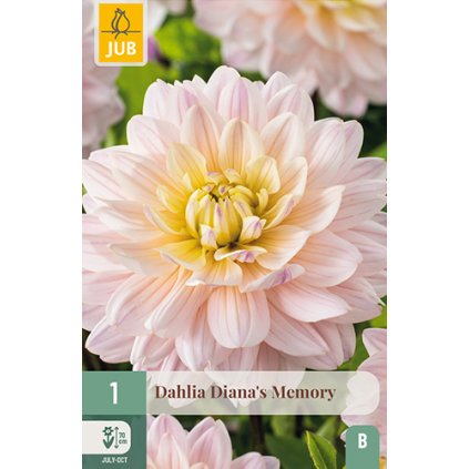 Jiřina DIANA'S MEMORY 1 ks