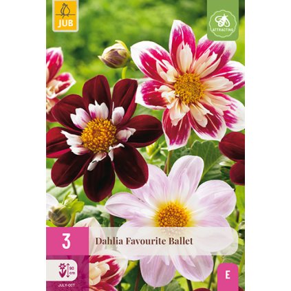 Jiřina FAVOURITE BALLET 3X