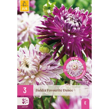 Jiřina FAVOURITE DANCE 3X