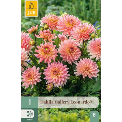 Jiřina GALLERY LEONARDO® 1 ks