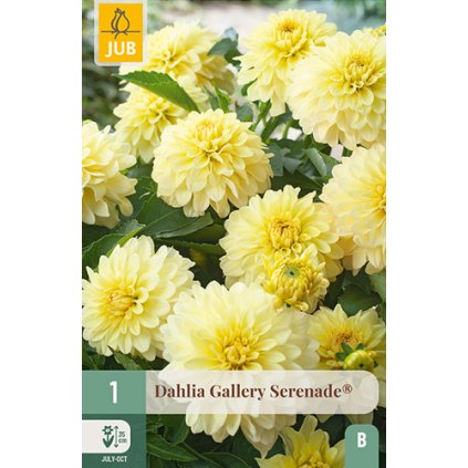 Jiřina GALLERY SERENADE® 1X