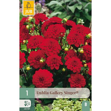 Jiřina GALLERY SINGER® 1 ks