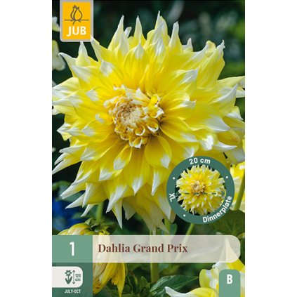 Jiřina GRAND PRIX 1X